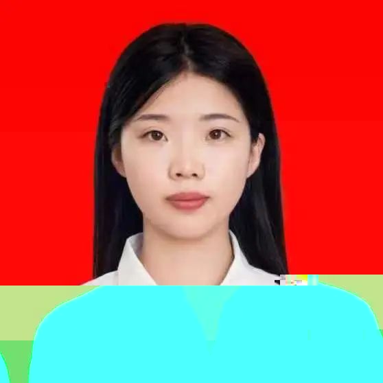462E 462E