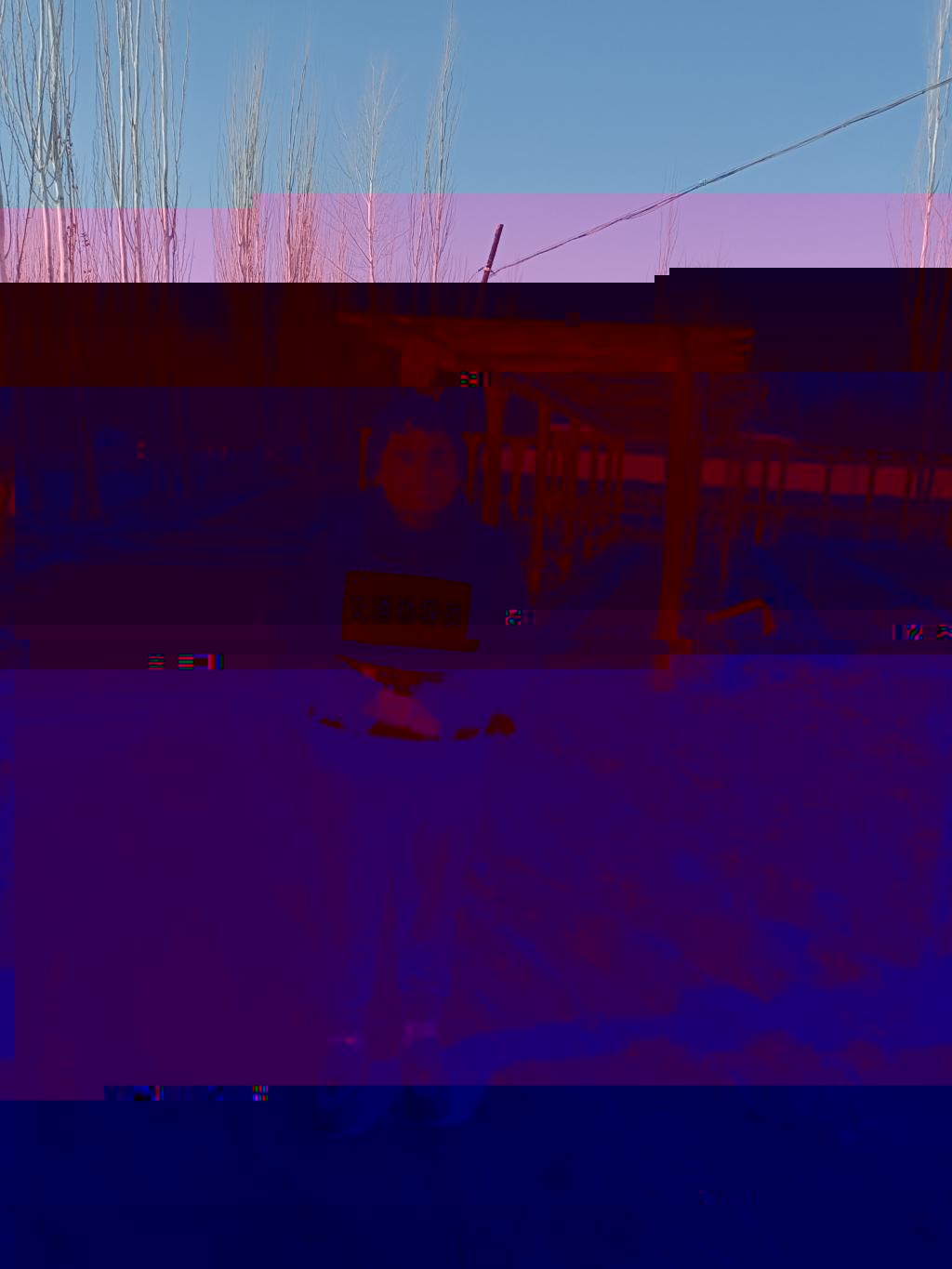 39CCF 39CCF