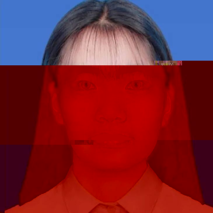 9238 9238
